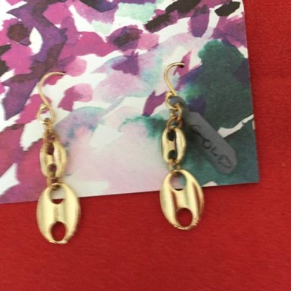 NWT gold chain link earnings